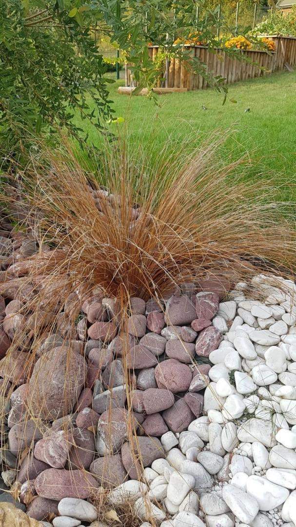 Plantes et graminées Troyes