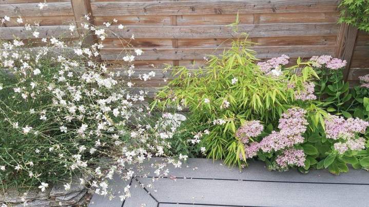 Plantes et graminées Troyes