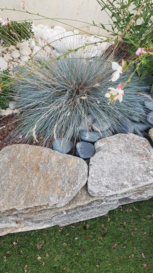 Plantes et graminées Troyes